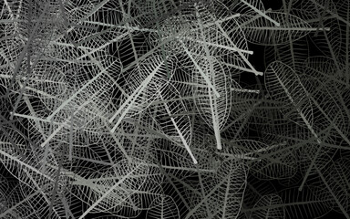 Dark Gray vector doodle background with leaves.