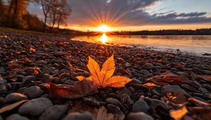 Obraz premium Autumn sunset, vibrant colors, serene environment, wide shot, inviting