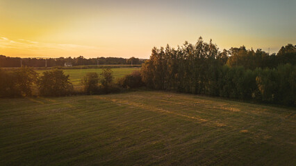 Polish fields at golden hour