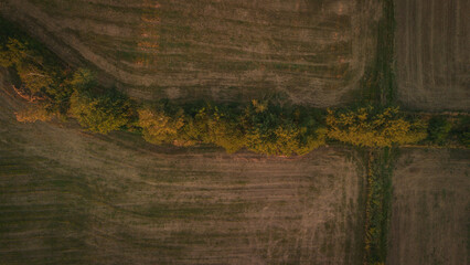 Polish fields at golden hour