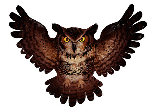 brown owl with wings spread clip art preview