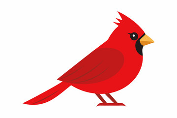 Cardinal bird art vector