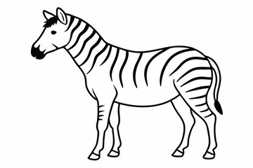 
zebra line art vector, zebra icon, zebra croosing outline vector illustration

