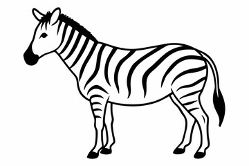 
zebra line art vector, zebra icon, zebra croosing outline vector illustration

