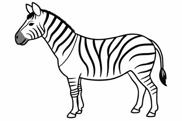 
zebra line art vector, zebra icon, zebra croosing outline vector illustration

