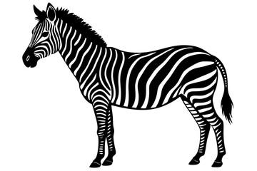 zebra vector, zebra icon, silhouette of zebra croosing vector illustration