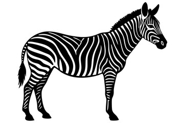 zebra vector, zebra icon, silhouette of zebra croosing vector illustration