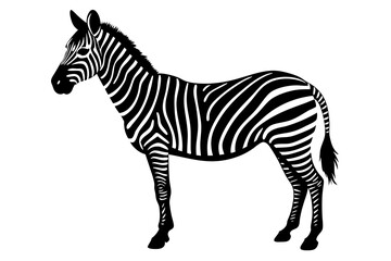zebra vector, zebra icon, silhouette of zebra croosing vector illustration