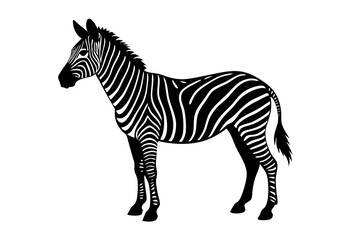 zebra vector, zebra icon, silhouette of zebra croosing vector illustration