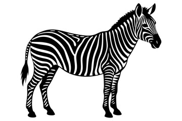 zebra vector, zebra icon, silhouette of zebra croosing vector illustration © Trendy CraftSVG 
