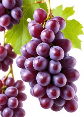 Fototapeta premium purple grape, isolated on white background, ai