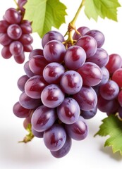 Fototapeta premium purple grape, isolated on white background, ai