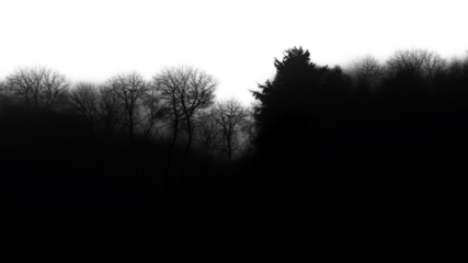 PNG Dark forest silhouette border, transparent background
