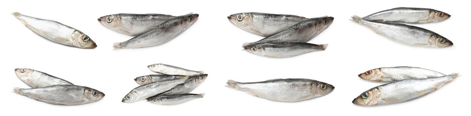 Fresh raw sprats isolated on white, set