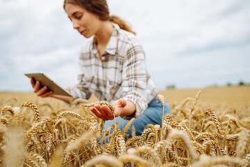 Farmer - woman with a tablet in their hands in a golden wheat field. Smart farm. Agriculture,...