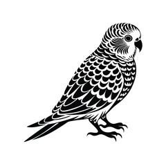 Budgerigar Bird Silhouette Vector