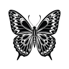 Butterfly Silhouette Vector