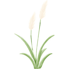Wetlands clipart Png