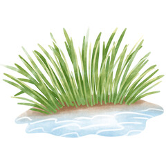Wetlands clipart Png