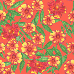 Marigold Flower Seamless Pattern. Hand Drawn Floral Digital Paper on Red Background.
