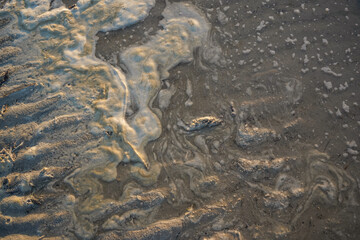 Detailed texture of sea water foam at the North Sea coast in Germany, creating an abstract and...