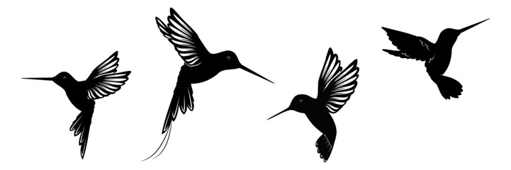 hummingbird silhouette vector