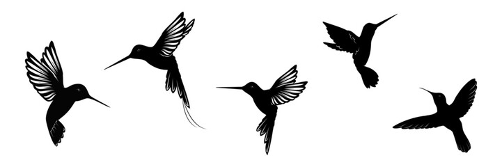 hummingbird silhouette vector