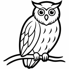 A detailed portrait of an owl perched on a branch vector line art illustration