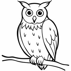 A detailed portrait of an owl perched on a branch vector line art illustration