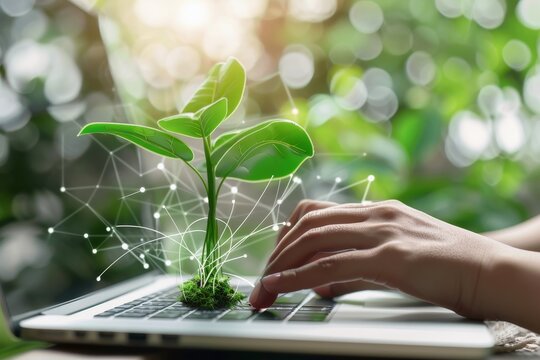 A person researching eco friendly investment options on a laptop.