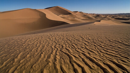 Sand Dunes in the Sahara Desert