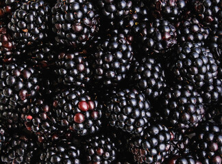 Bunch of tasty ripe blackberries as background, close up © elif