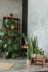 A fragment of the interior with a variety of indoor plants and plaster sculptures. Urban jungle concept. Biophilia design.