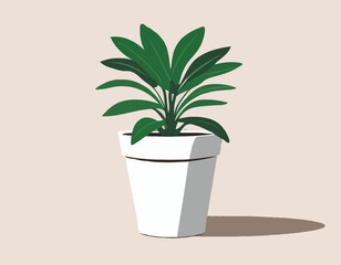 Small Potted Plant