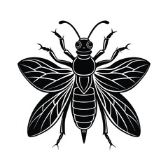 Insect Silhouette Vector

