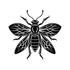 Insect Silhouette Vector
