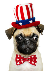 Uncle Sam png puppy sticker, pug pet on transparent background