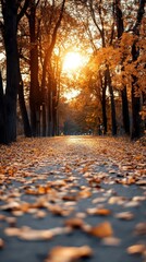 Autumn walk in park, vibrant colors, scenic routes, dynamic action, inviting