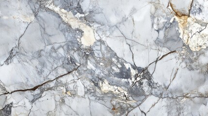 Fototapeta premium Close-up of a Grey and White Marble Slab with Veining