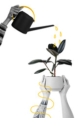 Watering a png plant with illustration remix © Rawpixel.com