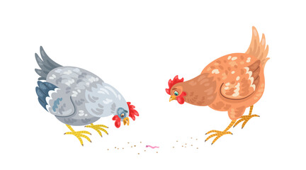 Two cute hens found a worm. Isolated on white background. Vector flat illustration