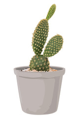 Cactus plant PNG sticker transparent background