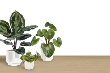 Houseplant PNG background transparent wall