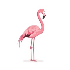 Obraz premium Flamingo Time element animal cartoon isolated whitebackground 16:9
