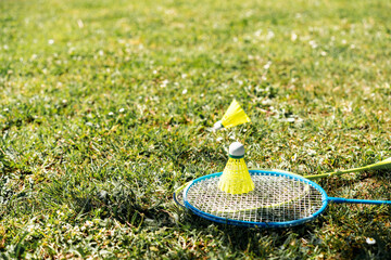 badminton rackets and shuttlecocks on green grass