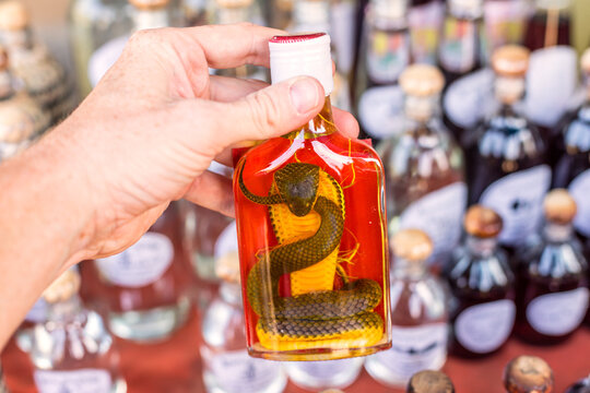 Whisky bottle with snake inside, Laos