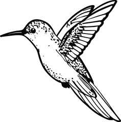 Enchanting Hummingbird - Elegant Vector Art	

