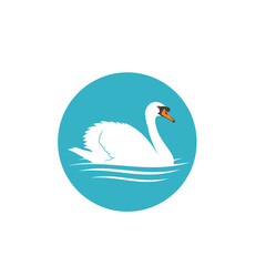 illustration of Swan, bird of the genus Cygnus, vector art.