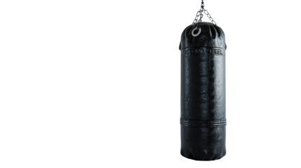 Boxing punching bag on transparent background