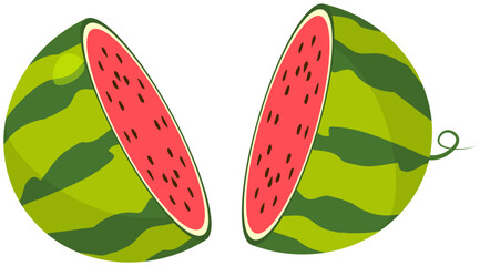 Watermelon illustration icon